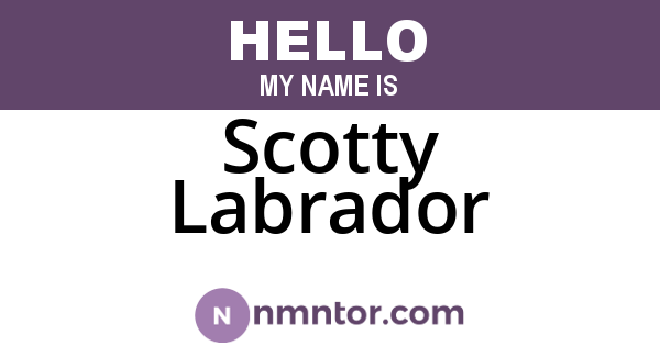 Scotty Labrador