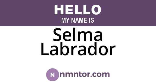 Selma Labrador