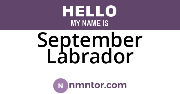 September Labrador
