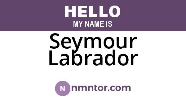 Seymour Labrador