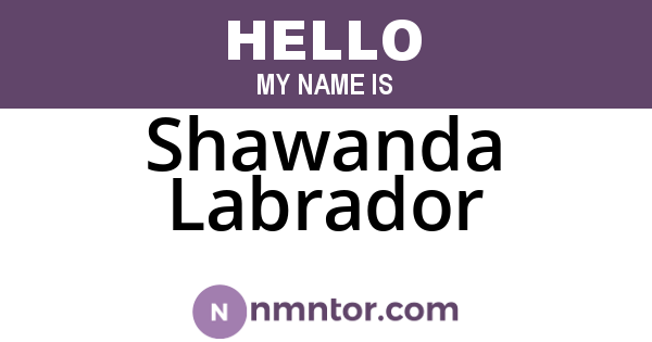 Shawanda Labrador