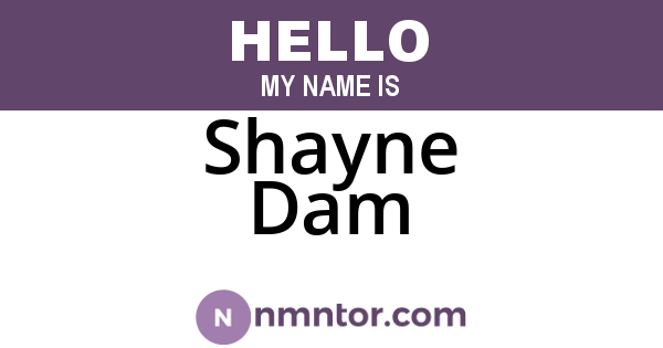 Shayne Dam