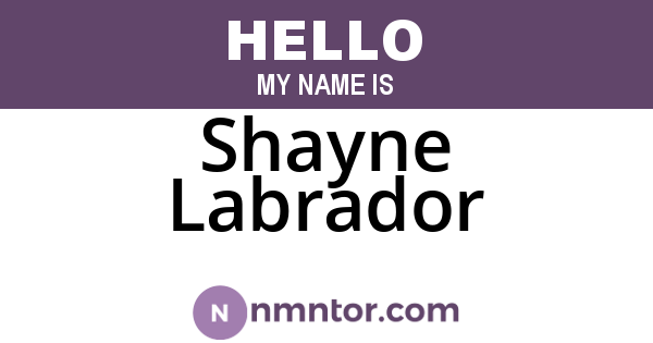 Shayne Labrador