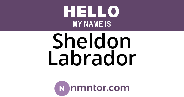 Sheldon Labrador