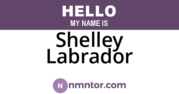 Shelley Labrador