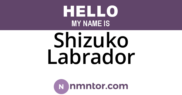 Shizuko Labrador