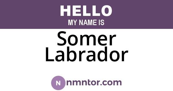 Somer Labrador