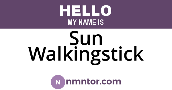 Sun Walkingstick