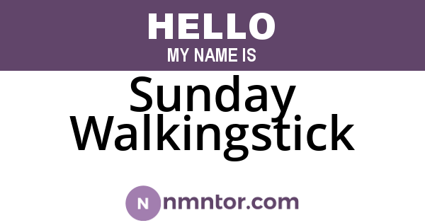 Sunday Walkingstick