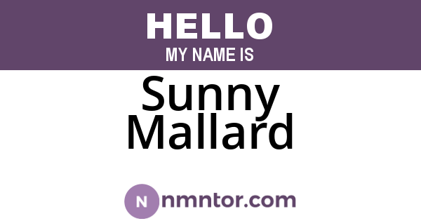 Sunny Mallard
