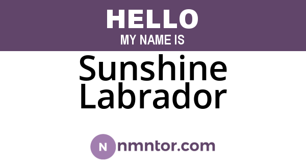 Sunshine Labrador