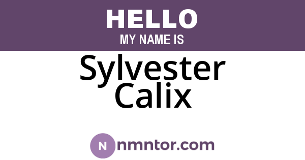 Sylvester Calix
