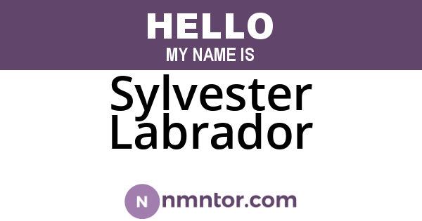 Sylvester Labrador