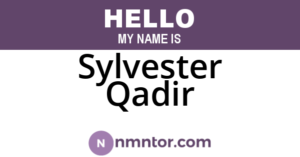 Sylvester Qadir