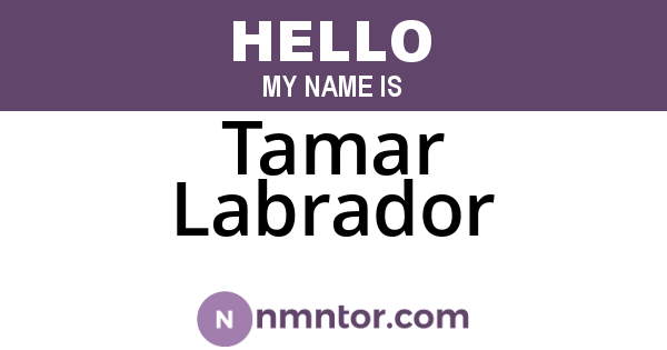 Tamar Labrador