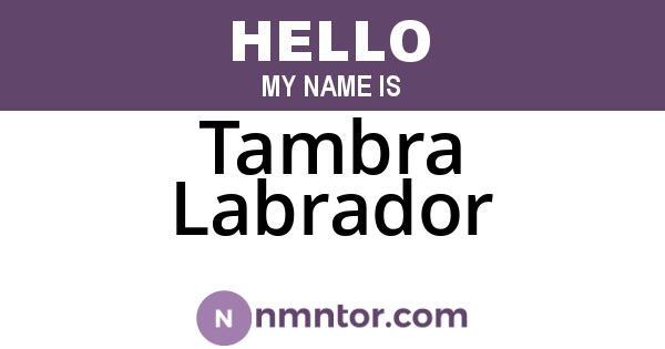 Tambra Labrador