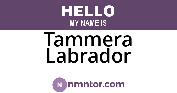 Tammera Labrador