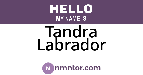 Tandra Labrador