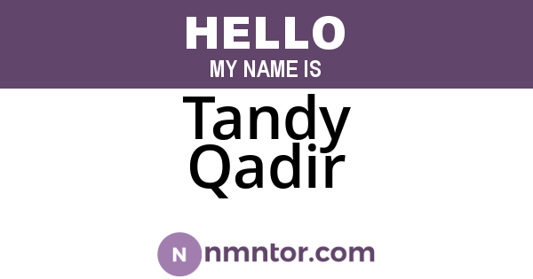 Tandy Qadir