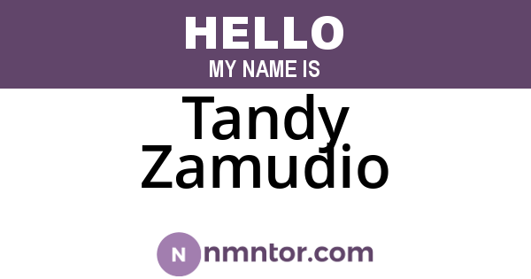 Tandy Zamudio
