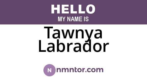 Tawnya Labrador