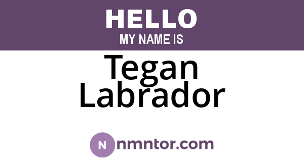 Tegan Labrador