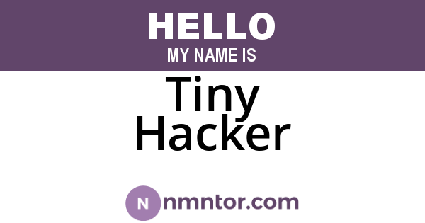 Tiny Hacker