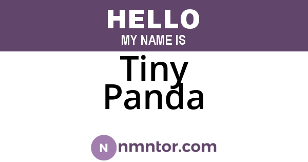 Tiny Panda