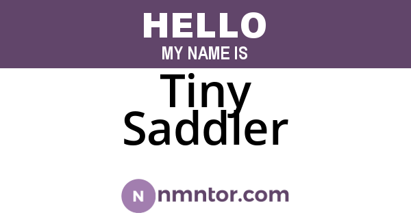 Tiny Saddler