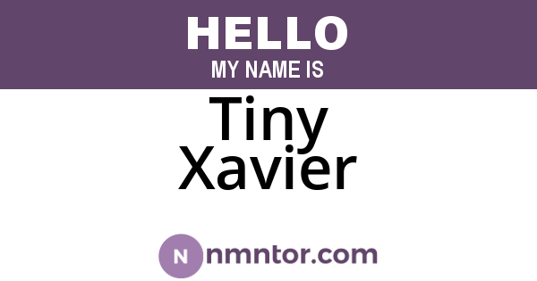 Tiny Xavier