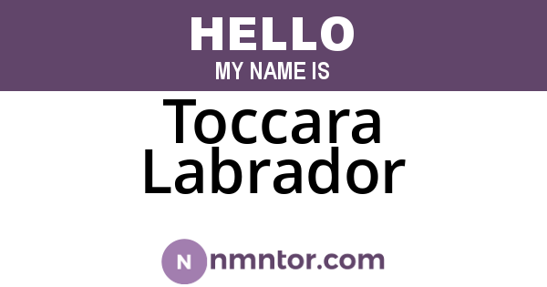 Toccara Labrador