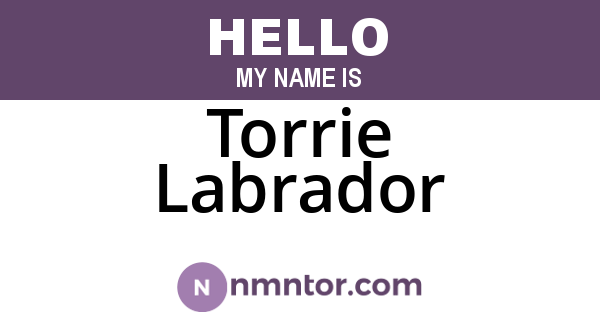 Torrie Labrador