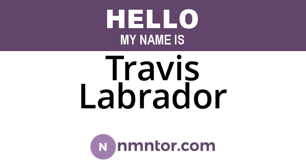 Travis Labrador