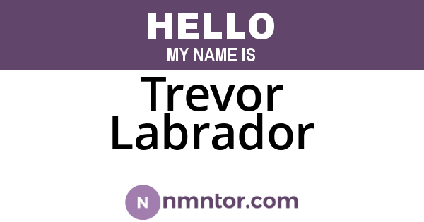 Trevor Labrador