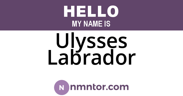 Ulysses Labrador