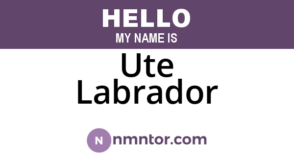 Ute Labrador