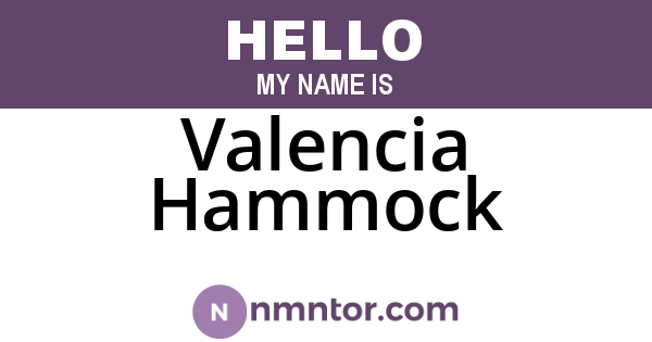 Valencia Hammock