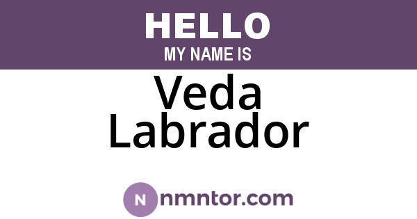 Veda Labrador
