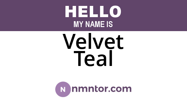 Velvet Teal