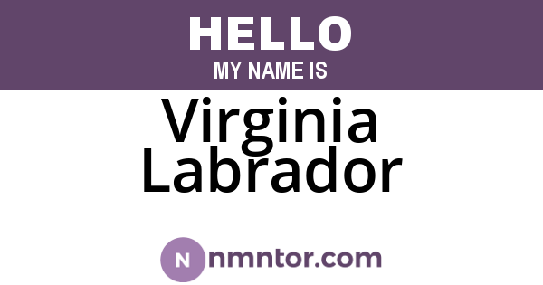Virginia Labrador