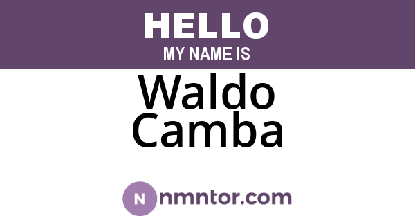 Waldo Camba
