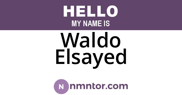Waldo Elsayed