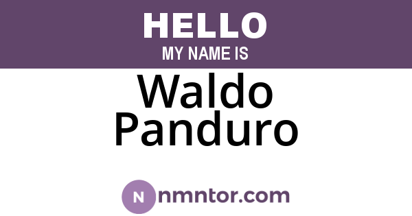 Waldo Panduro