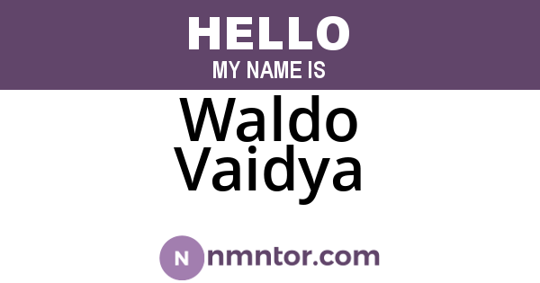 Waldo Vaidya