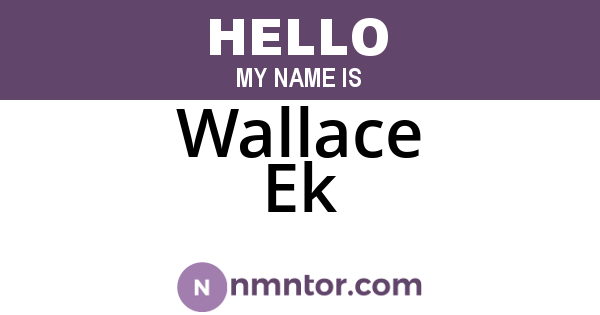 Wallace Ek