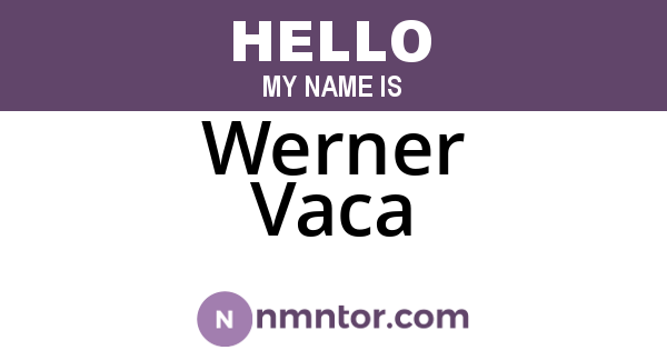 Werner Vaca