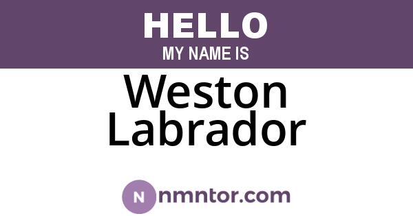 Weston Labrador