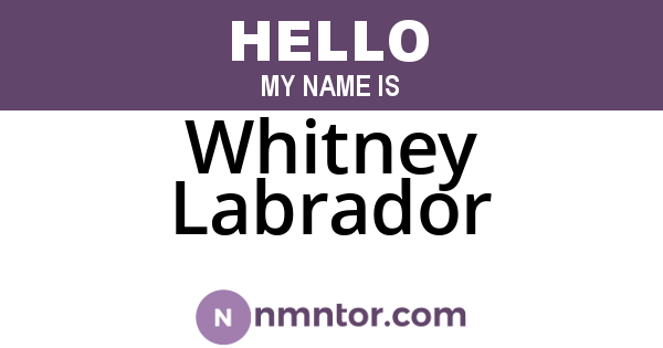 Whitney Labrador