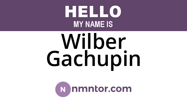 Wilber Gachupin