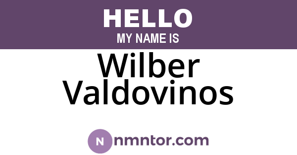 Wilber Valdovinos